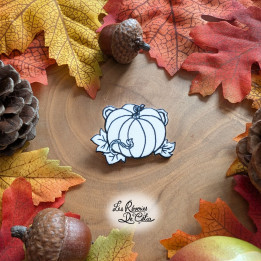 Broche Jolie Citrouille Blanche