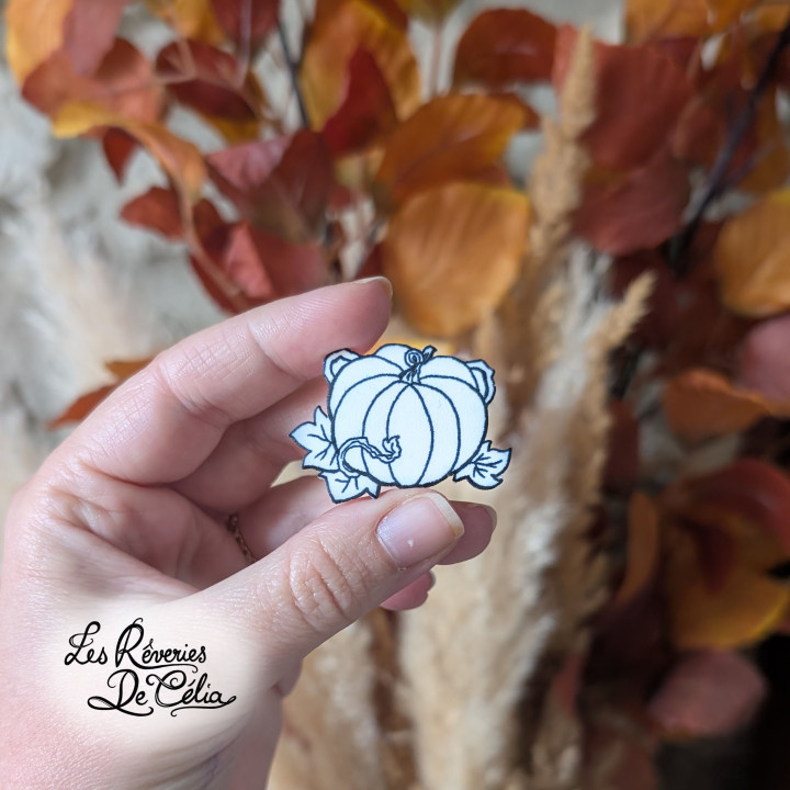 Broche Jolie Citrouille Blanche