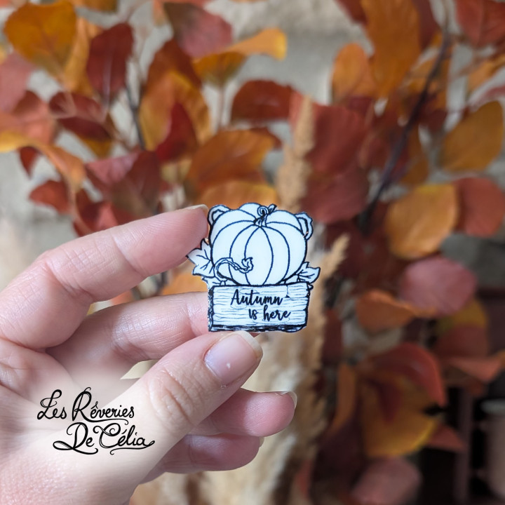 Broche Citrouille Autumn