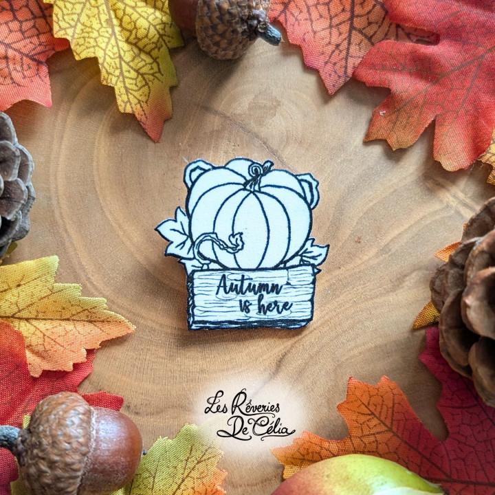 Broche Citrouille Autumn (mat)