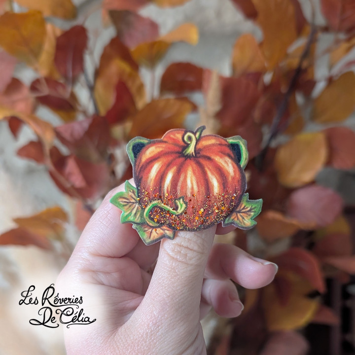Broche Jolie Citrouille Orange