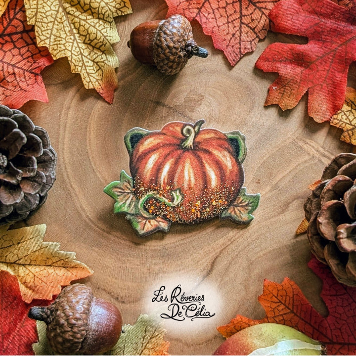 Broche Jolie Citrouille Orange